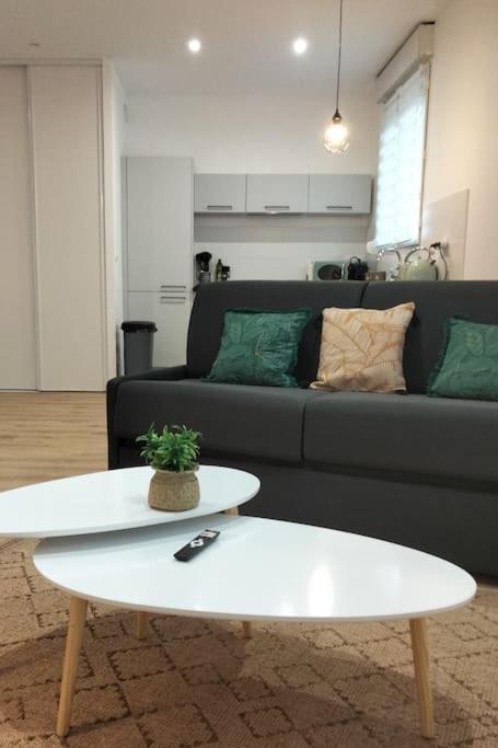 L'Escale Balzac Apartman Villeurbanne Kültér fotó
